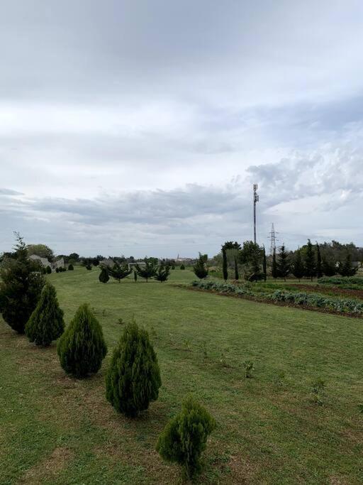 Fraschi Countryhouse Carpignano Salentino Esterno foto